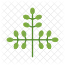 Moringa Cauliflower Parsnip Icon