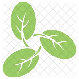 Moringa Leaves  Icon