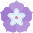 Morning Glory  Icon