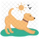 Morning Pet Domestic Icon