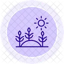 Morning Light On Crops Morning Light Icon