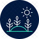 Morning Light On Crops Morning Light Icon