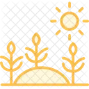 Morning Light On Crops Morning Light Icon