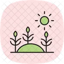 Morning Light On Crops Morning Light Icon