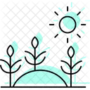 Morning Light On Crops Morning Light Icon