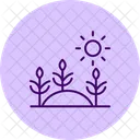 Morning Light On Crops Morning Light Icon