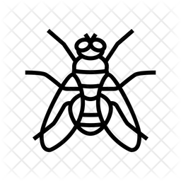 Volar  Icono