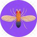 Mosca De La Fruta Insecto Bug Icono