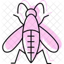 Mosquito Insecto Diminuto Icono