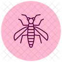 Mosquito Insecto Diminuto Icono
