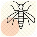 Mosquito Insecto Diminuto Icono