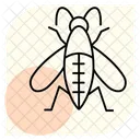 Mosquito Insecto Diminuto Icono