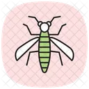 Mosquito Insecto Diminuto Icono