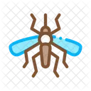 Insect Mosquito Bug Icon