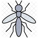 Insect Bug Fly Icon