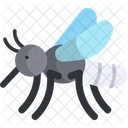 Mosquito Bug Insect Icon
