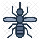 Mosquito  Icon