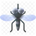 Mosquito Insect Bug Icon