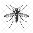 Insect Bug Fly Icon