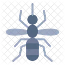 Mosquito  Icon