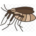 Mosquito  Ícone