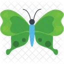 Moss Peacock Insect Icon
