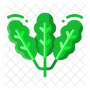 Mostarda verde  Icon