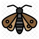 Moth  Icon