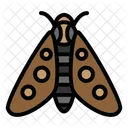 Moth  Icon