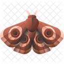 Moth Insect Butterfly Icon