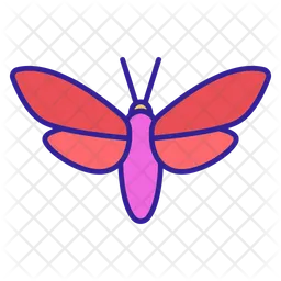 Moth  Icon