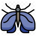 Moth Entomology Butterfly Icon