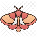 Moth  Icon