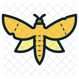 Moth  Icon