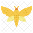 Moth Insect Butterfly Icon