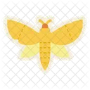Moth Insect Butterfly Icon