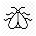 Moth Insect Butterfly Icon