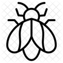 Insect Icon