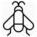 Insect Icon