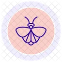 Moth Insect Night Icon