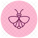 Moth Insect Night Icon