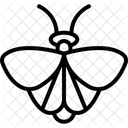 Moth Insect Night Icon