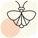 Moth Insect Night Icon