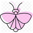 Moth Insect Night Icon