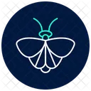 Moth Insect Night Icon