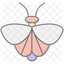 Moth Insect Night Icon