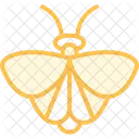 Moth Insect Night Icon