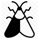 Organism Observation Colors Icon