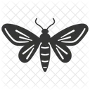 Moth Insect Nocturnal Winged Icon