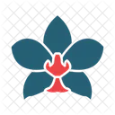 Moth Orchid Plant Flower Icon
